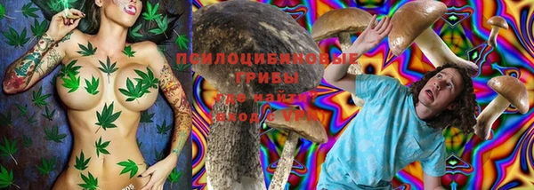 метадон Снежинск