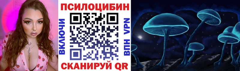 Галлюциногенные грибы Psilocybine cubensis Бокситогорск