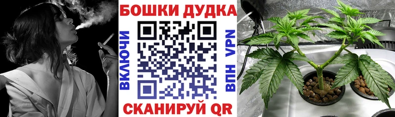 купить   Бокситогорск  Марихуана MAZAR 